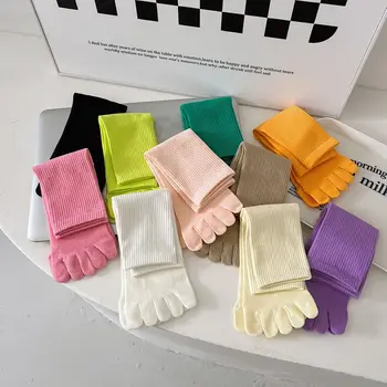 Корейски Творчески Памучни Чорапи С Пет Чорапи, Нови Модни Обикновена Чорапи със Средна Дължина Дишащи Спортни Чорапи Носочные Бижута за Жени